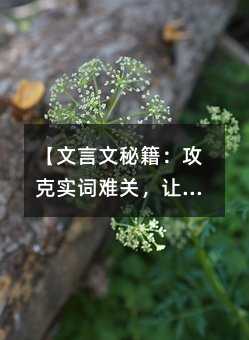 【文言文秘籍:攻克實詞難關,讓古文不再頭疼】